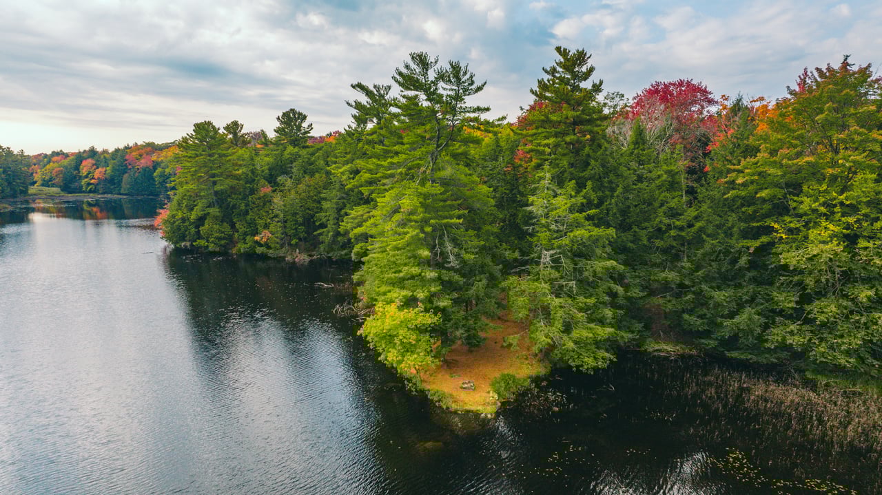 Camel Lake