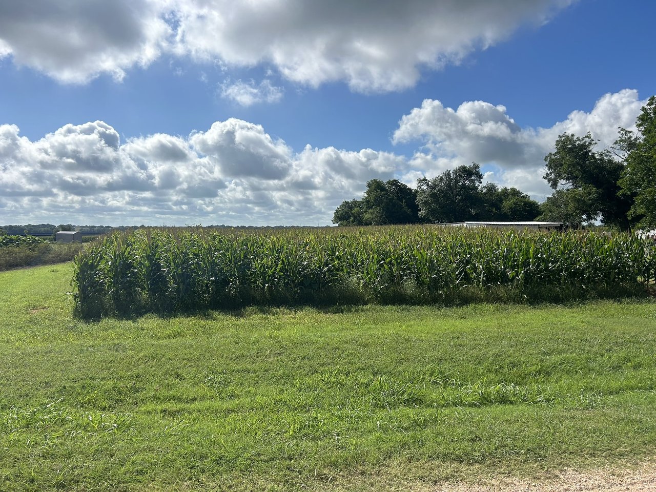 25 Acres in Temple, Tx