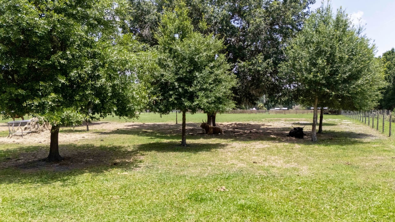 3320 Shadow Hawk Trail