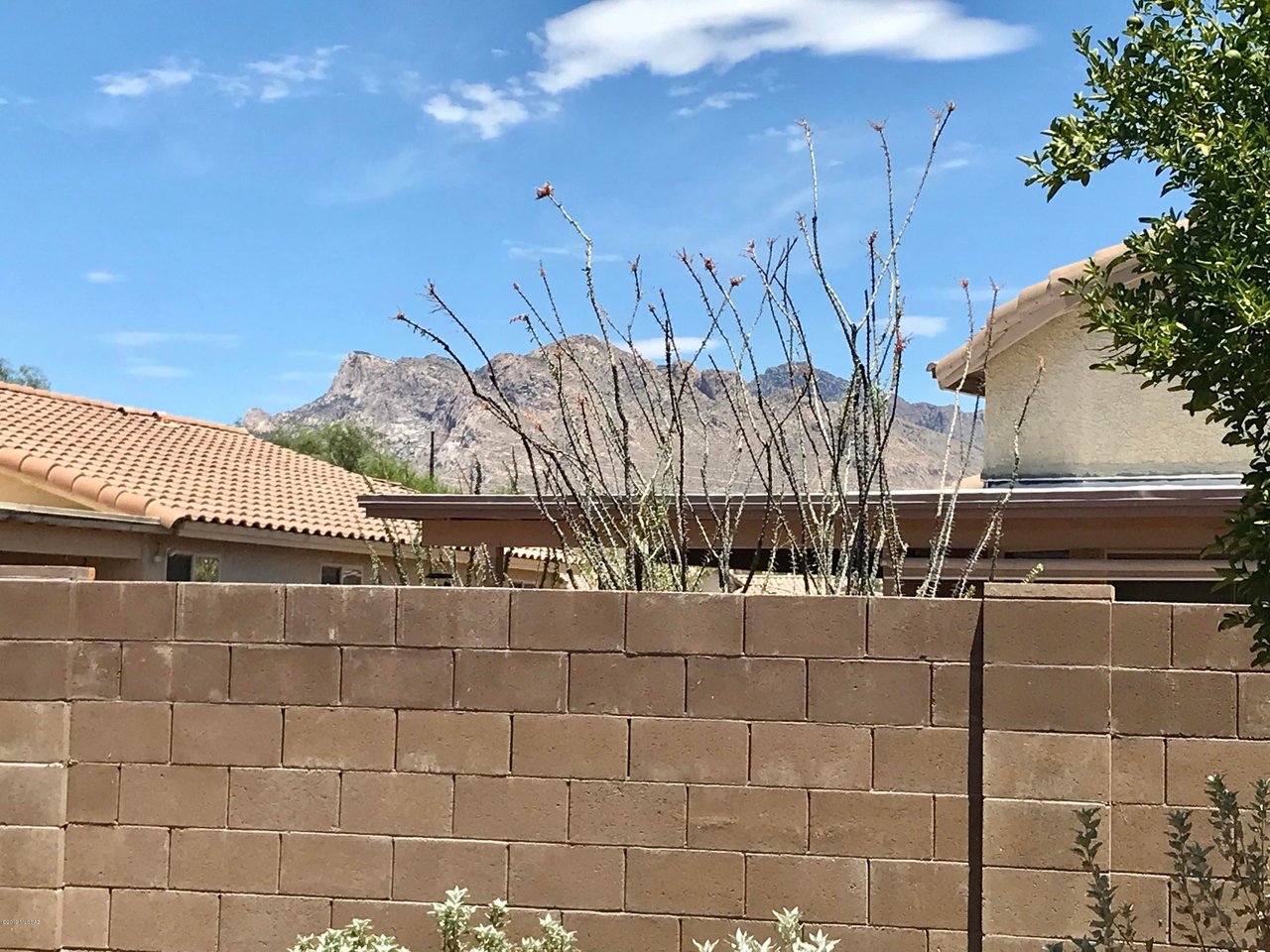8878 N Majestic Mountain Dr