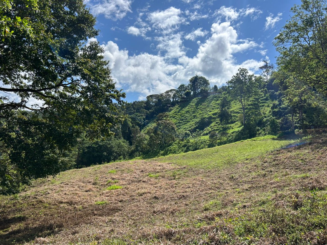 10-Acre Waterfall Farm with Amazing Valley and River View in San Isidro.