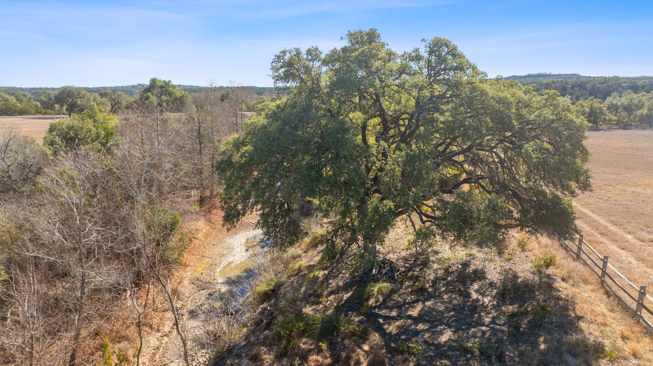 100 Dario Dr. Dripping Springs  Tx 78620