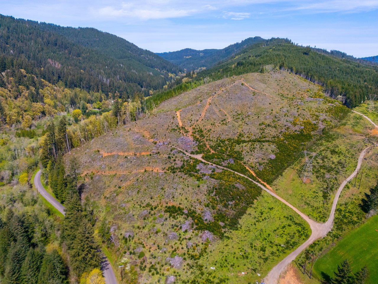 Nelson Mountain Meadows