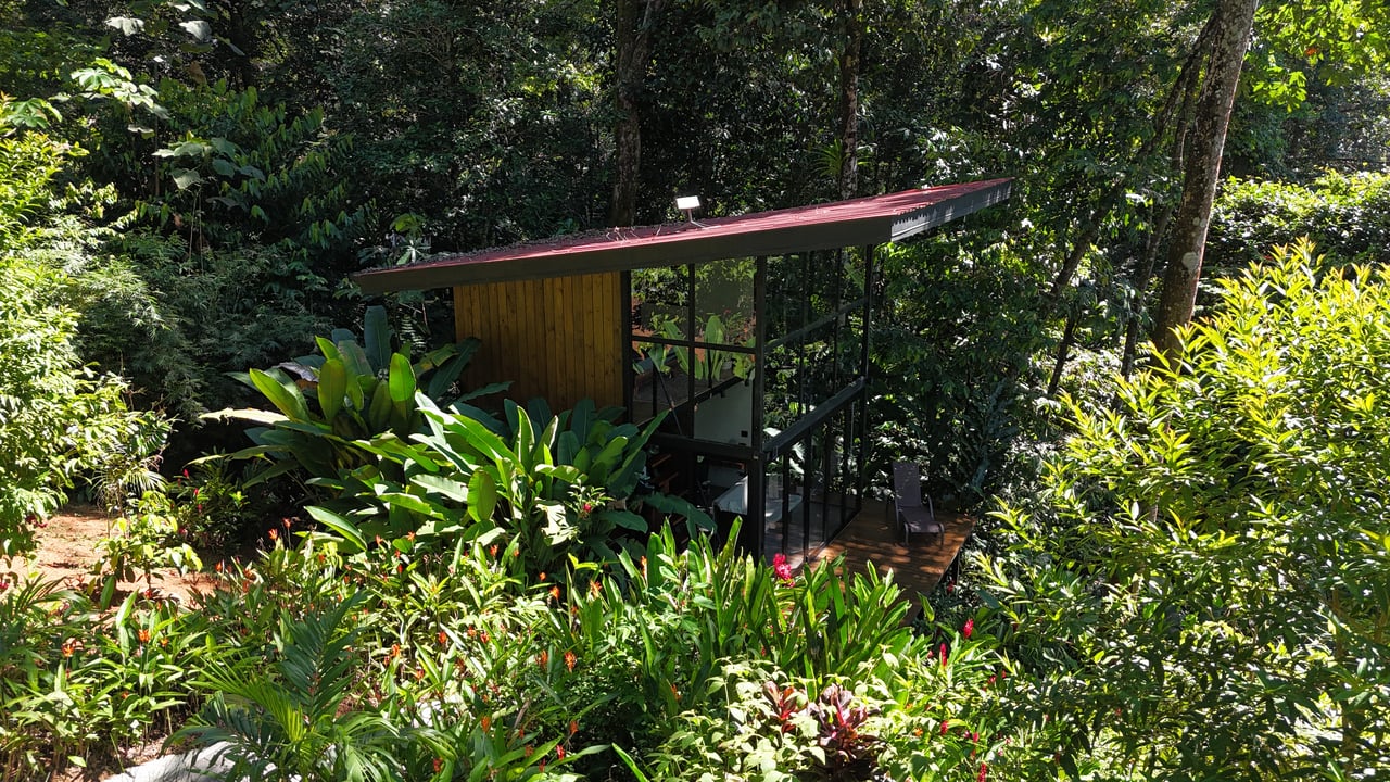 1.7 Acres Ocean View Lot with Producing Cabin in Uvita