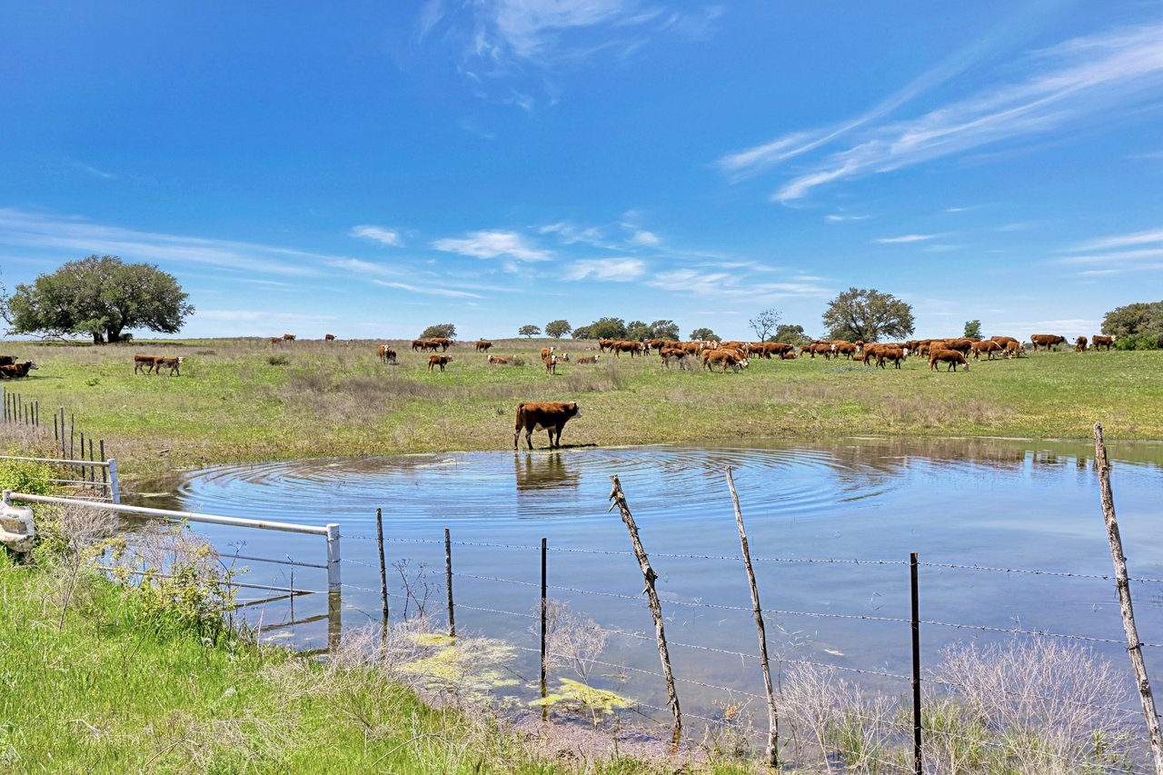 Bastrop County