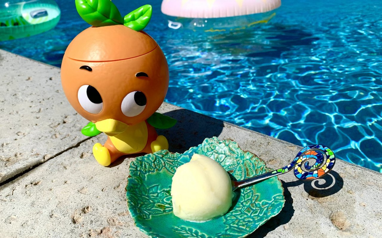 The Walt Disney World Favorite, the Dole Whip