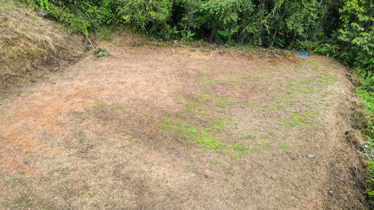 Scenic 2.53 Acres in Fila Cacao Ridge – Build-Ready Lot with Legal Water in Platanillo!