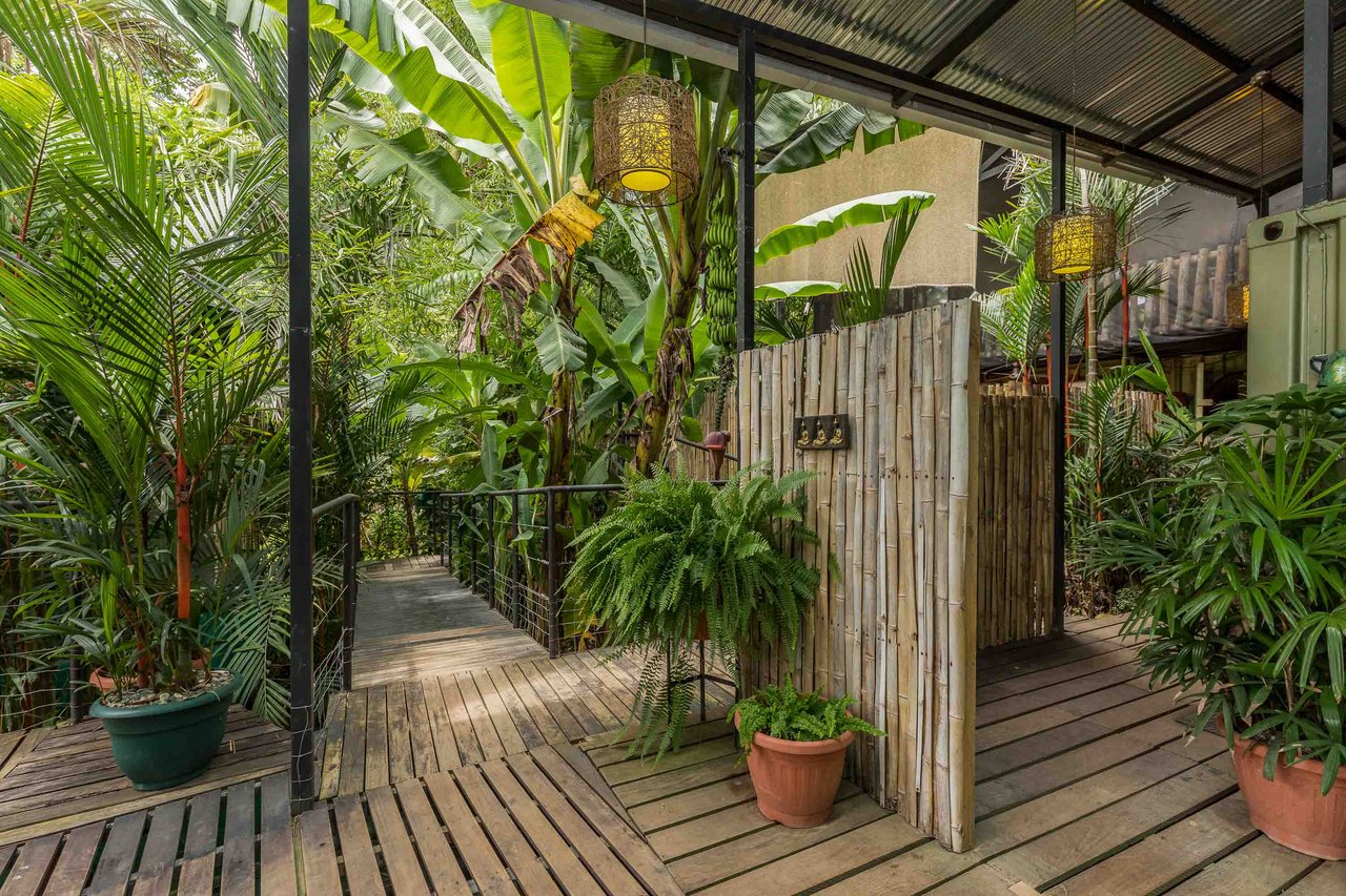 Profitable Business Dominical Yoga Retreat Property with Ocean Views