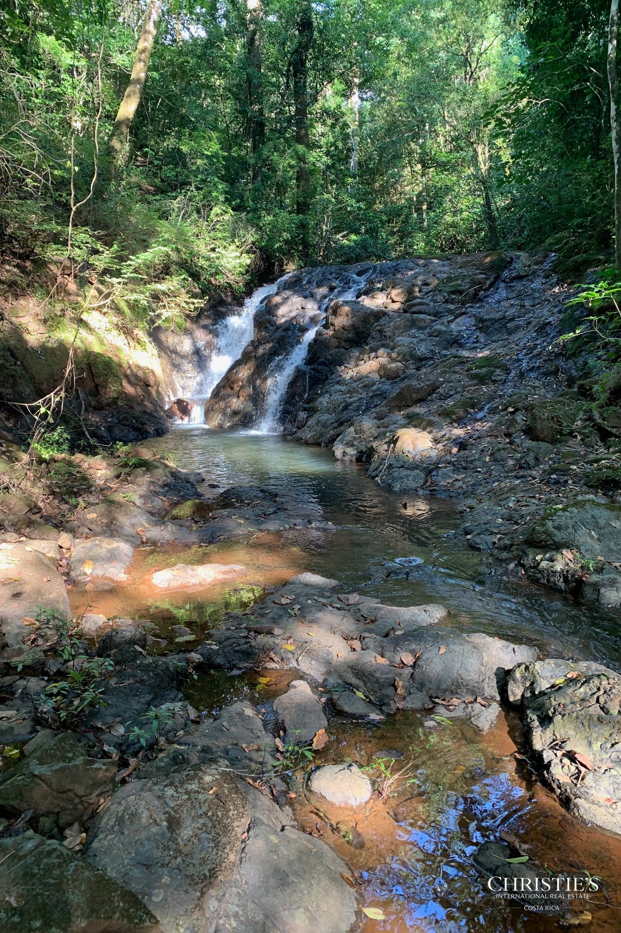 Finca Naranjalito