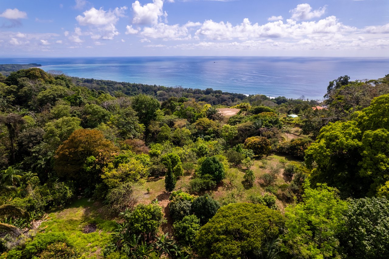 Ultra-Luxury Coastal Estate with Iconic Whale’s Tail Views