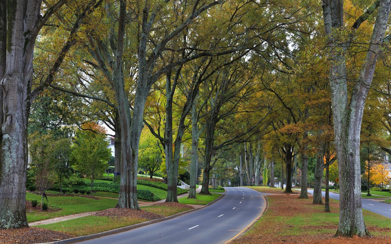 Myers Park