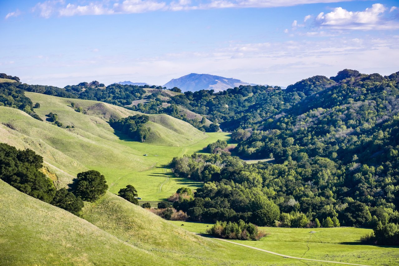Briones Regional Park