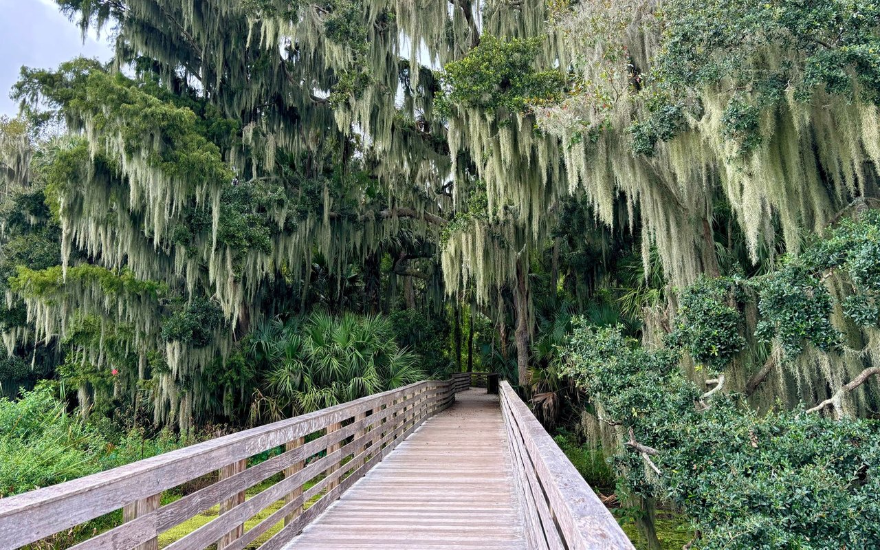 Mount Dora
