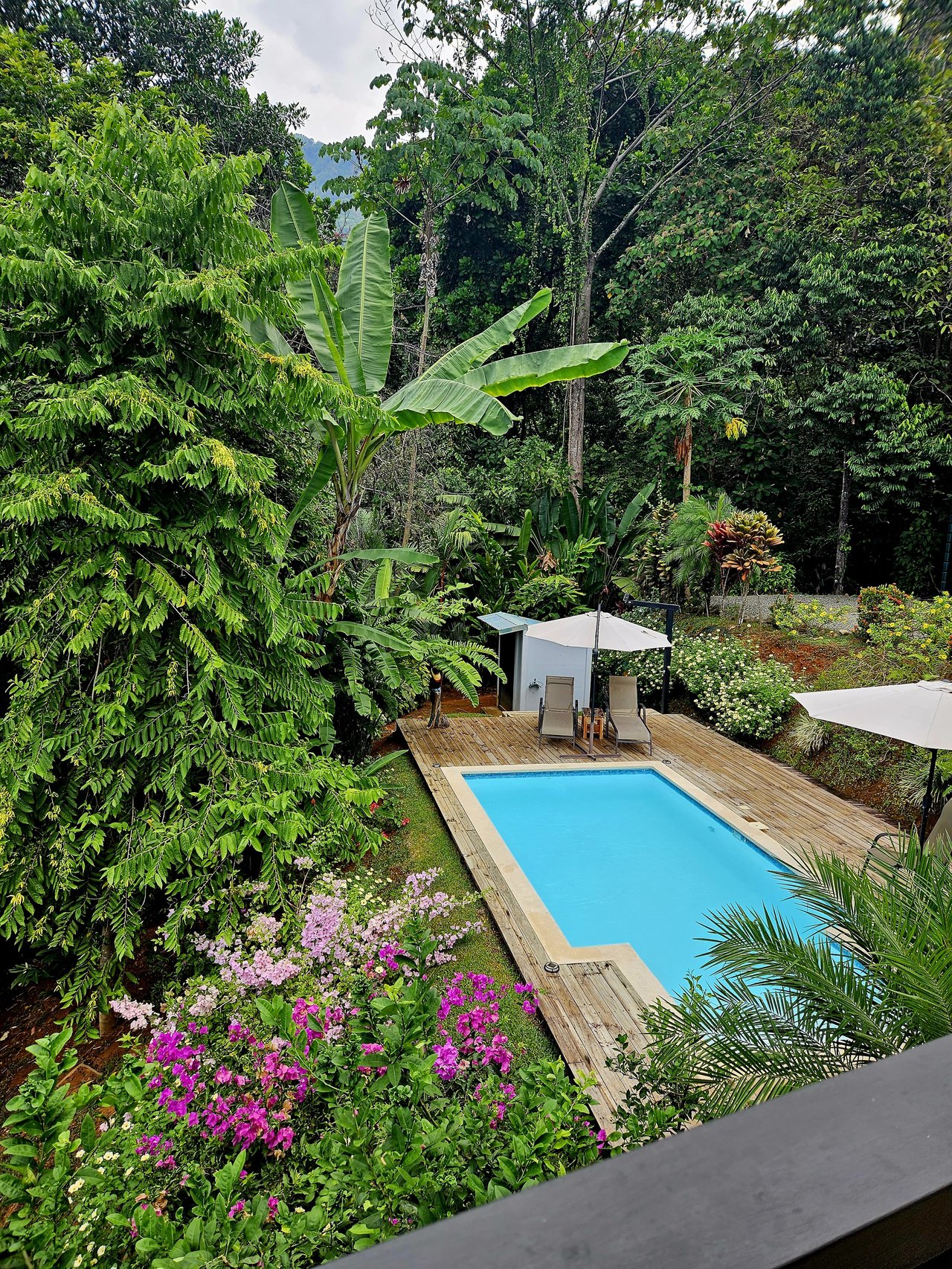 Beautiful sea view House Guesthouse and Pool in a gated Community close to awesome Beaches