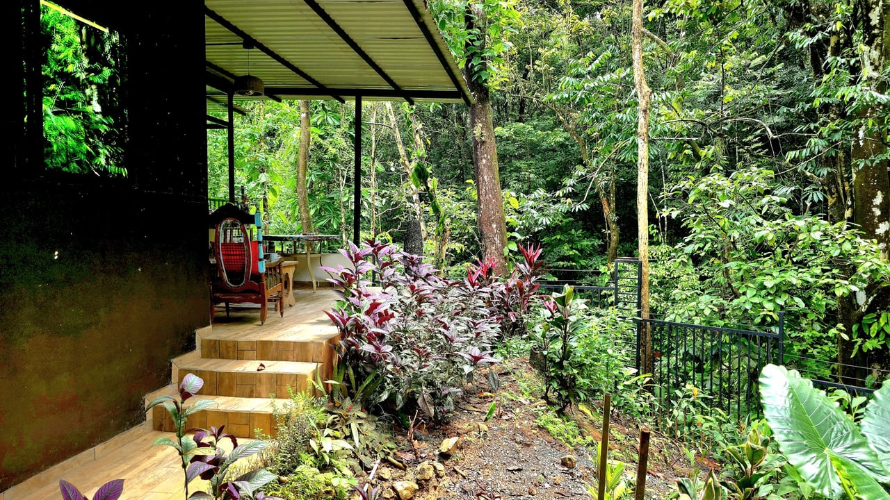 Artistic Home with Pool & Forest Views – 10 Minutes from the Beach | Ventanas, Osa