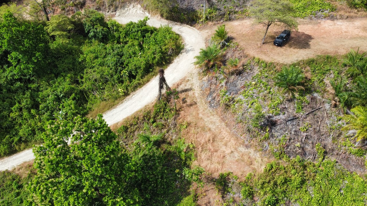 Breathtaking Ocean-View Estate: Over 1 Hectare of Serenity and Sunset Magic