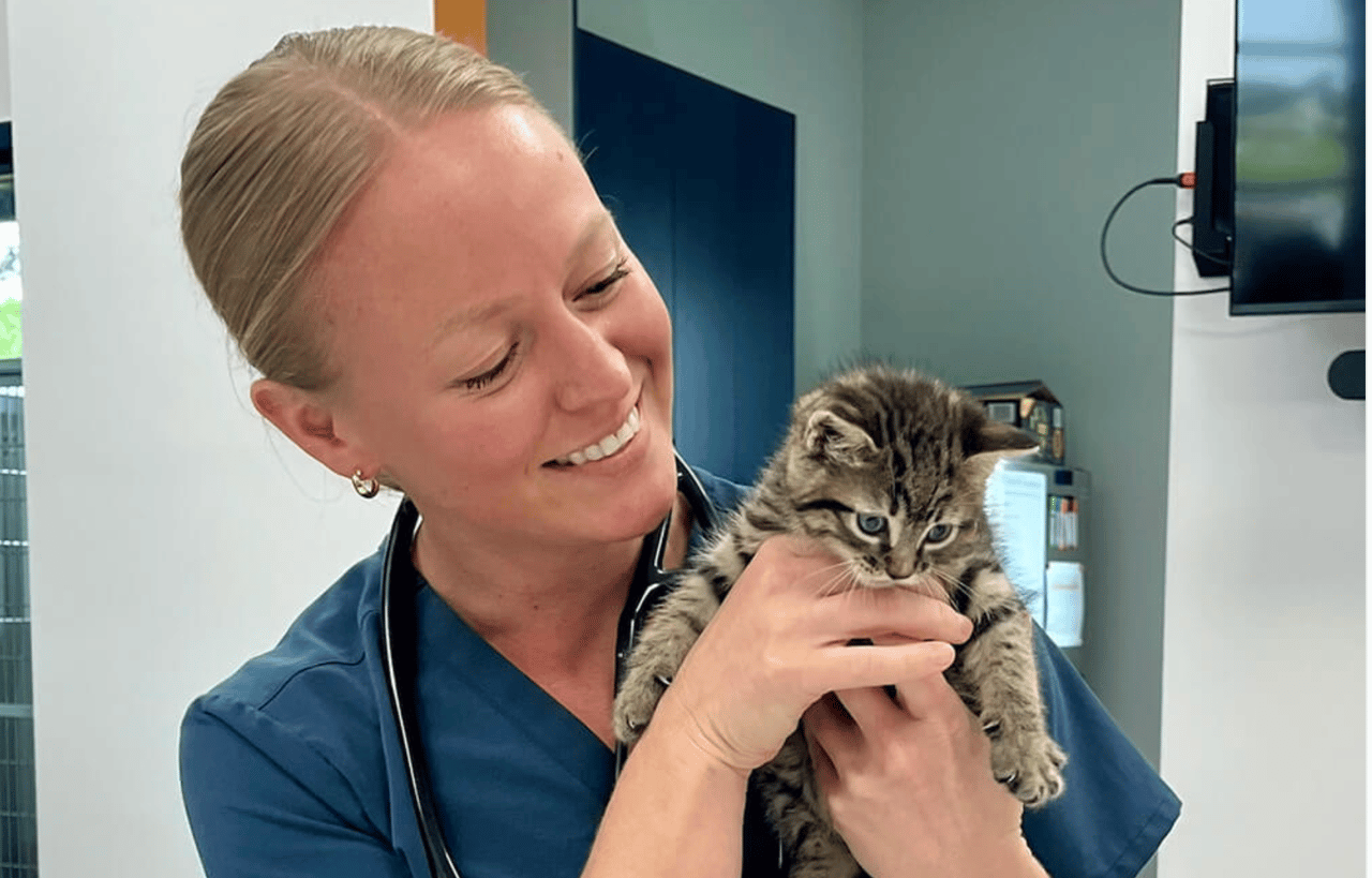 Dr. Ashlynn Turner examines a kitten in South Lake Vet's special exam room just for cats