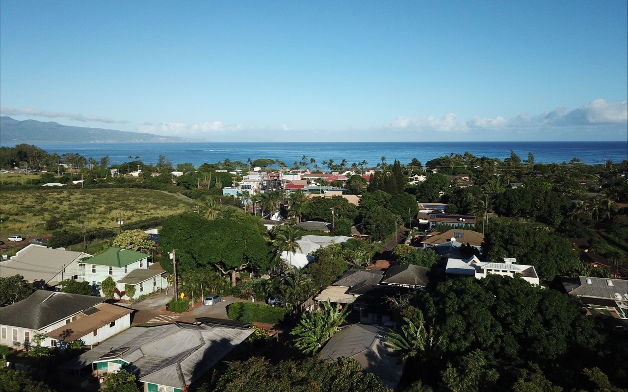 Paia