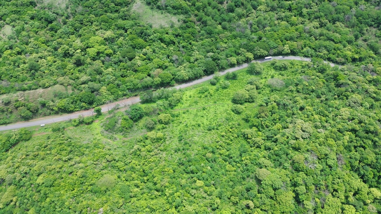 MAIN ROAD PARCEL - COYOLITO 