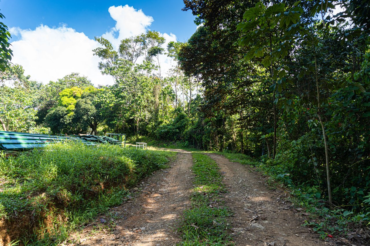 Great Ocean View Lot that includes a 2-Bedroom Home.