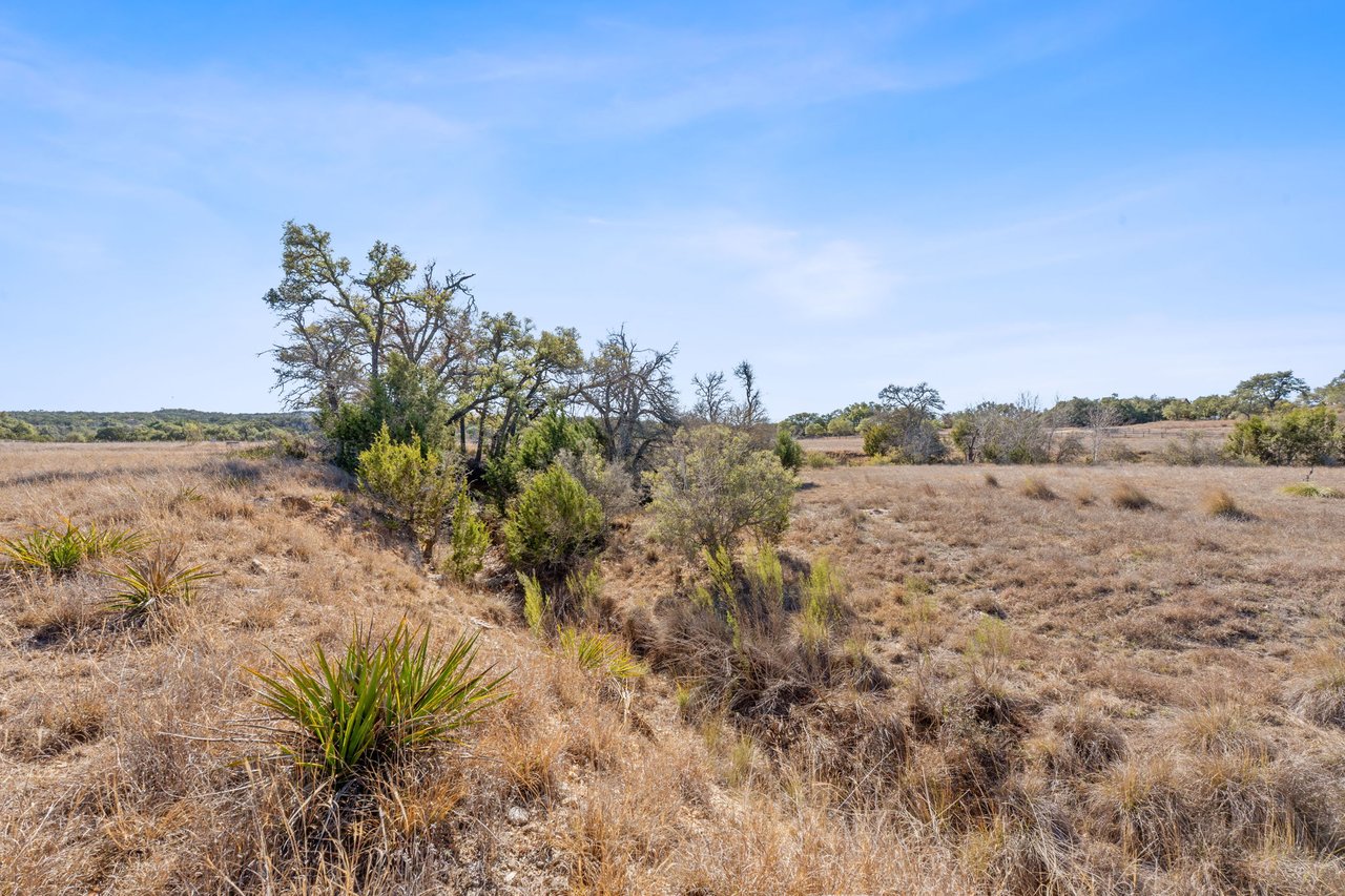 100 Dario Dr. Dripping Springs  Tx 78620