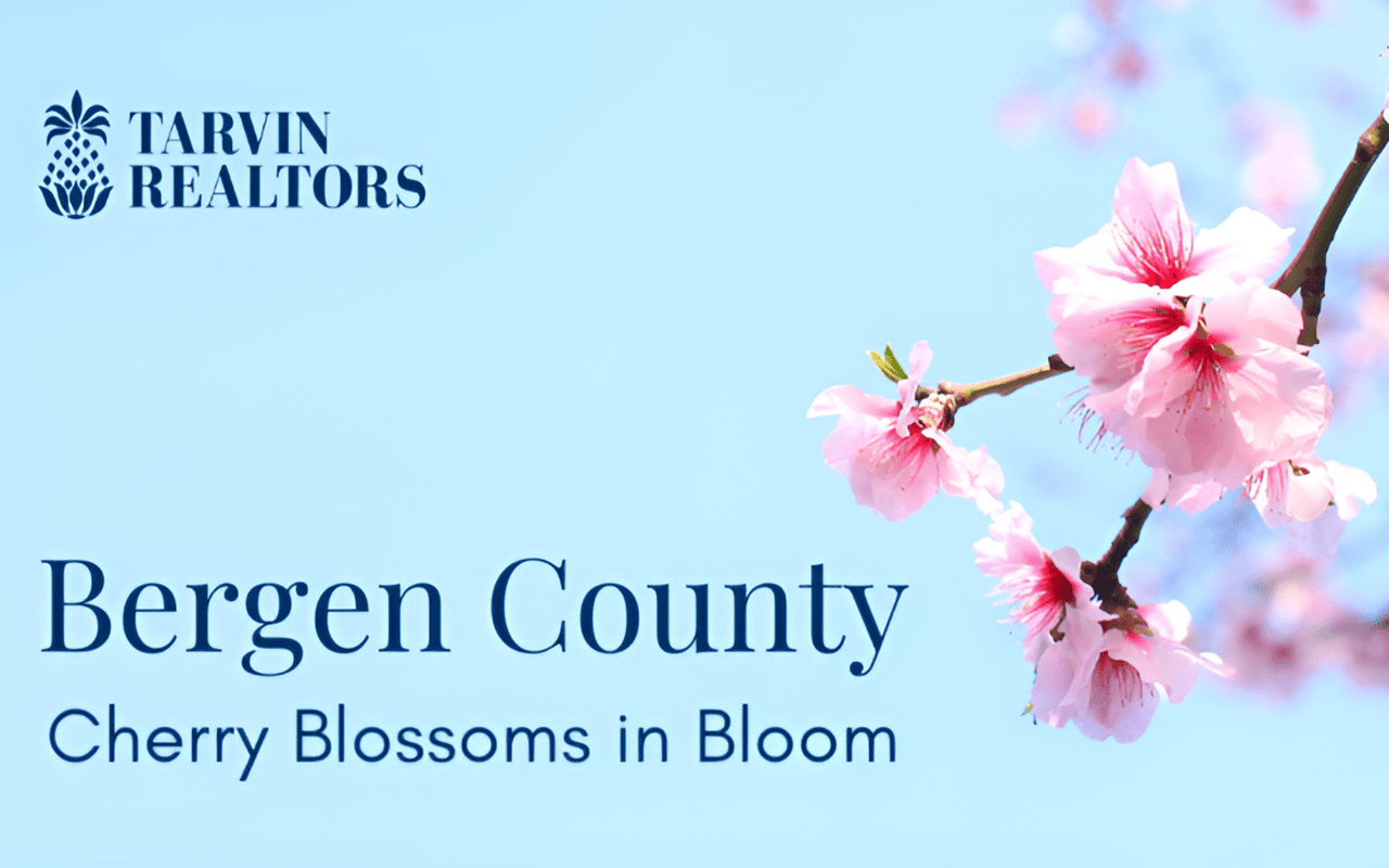 See Cherry Blossoms at These Bergen County Parks