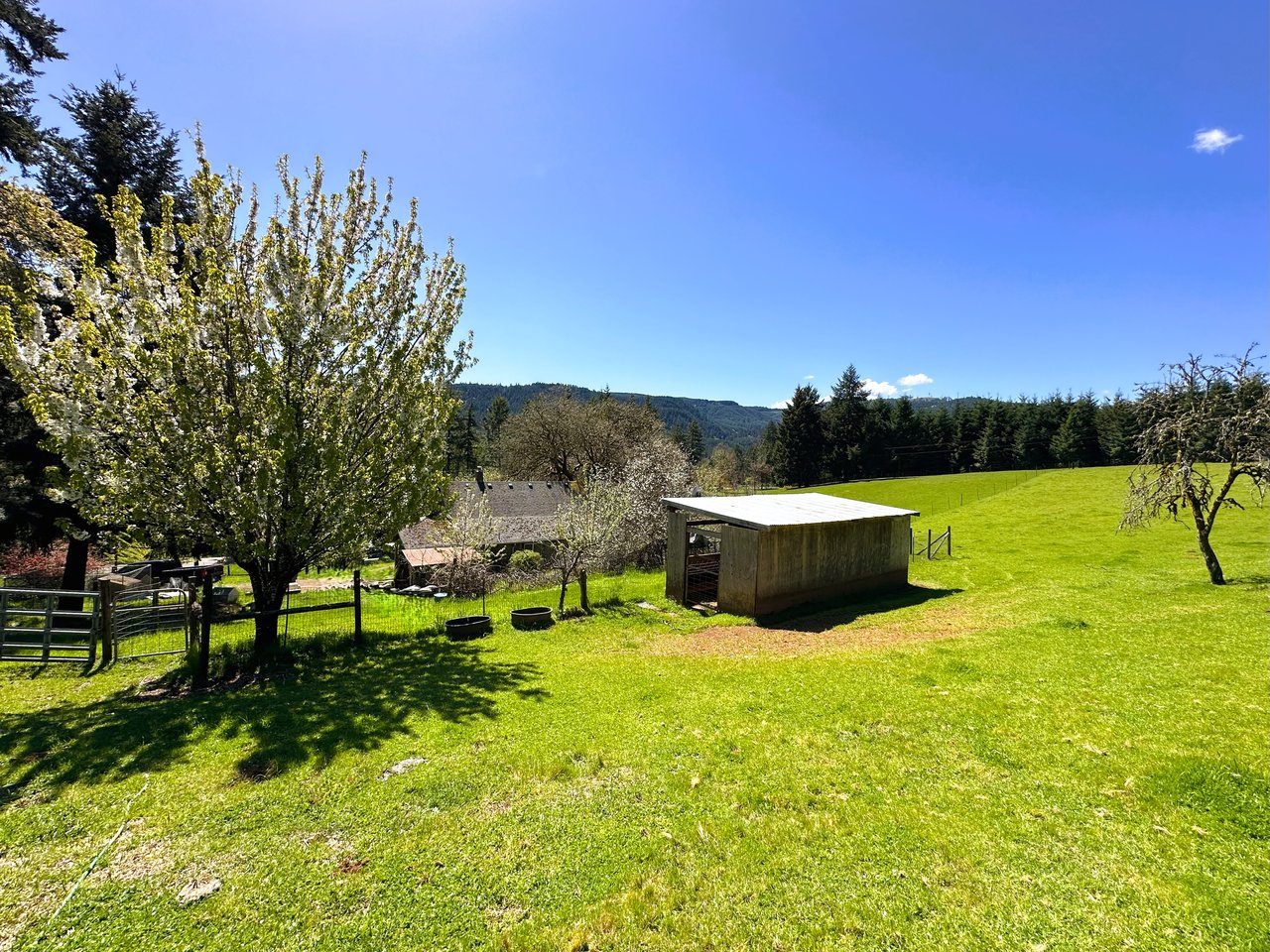 Panther Creek Homestead