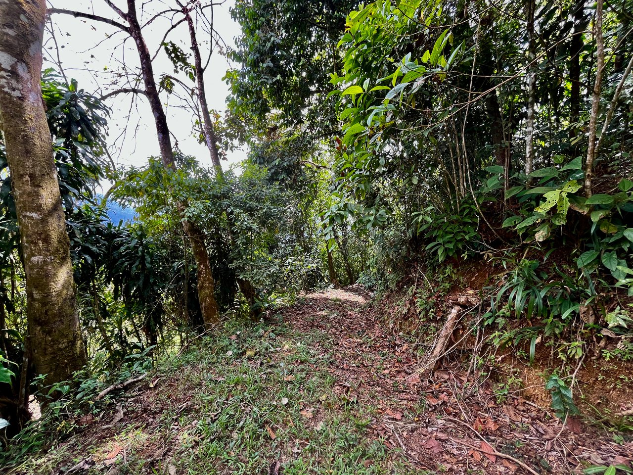 San Luis Ridgetop Ocean & Mountain View Property with Multiple Building Sites!