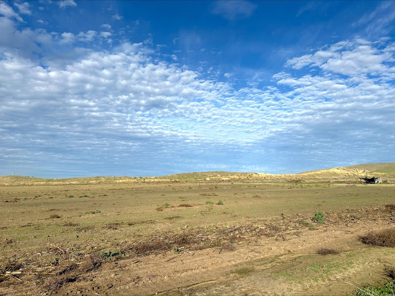77.04 +/- Acres of Open Farmland in Arvin-Edison WSD