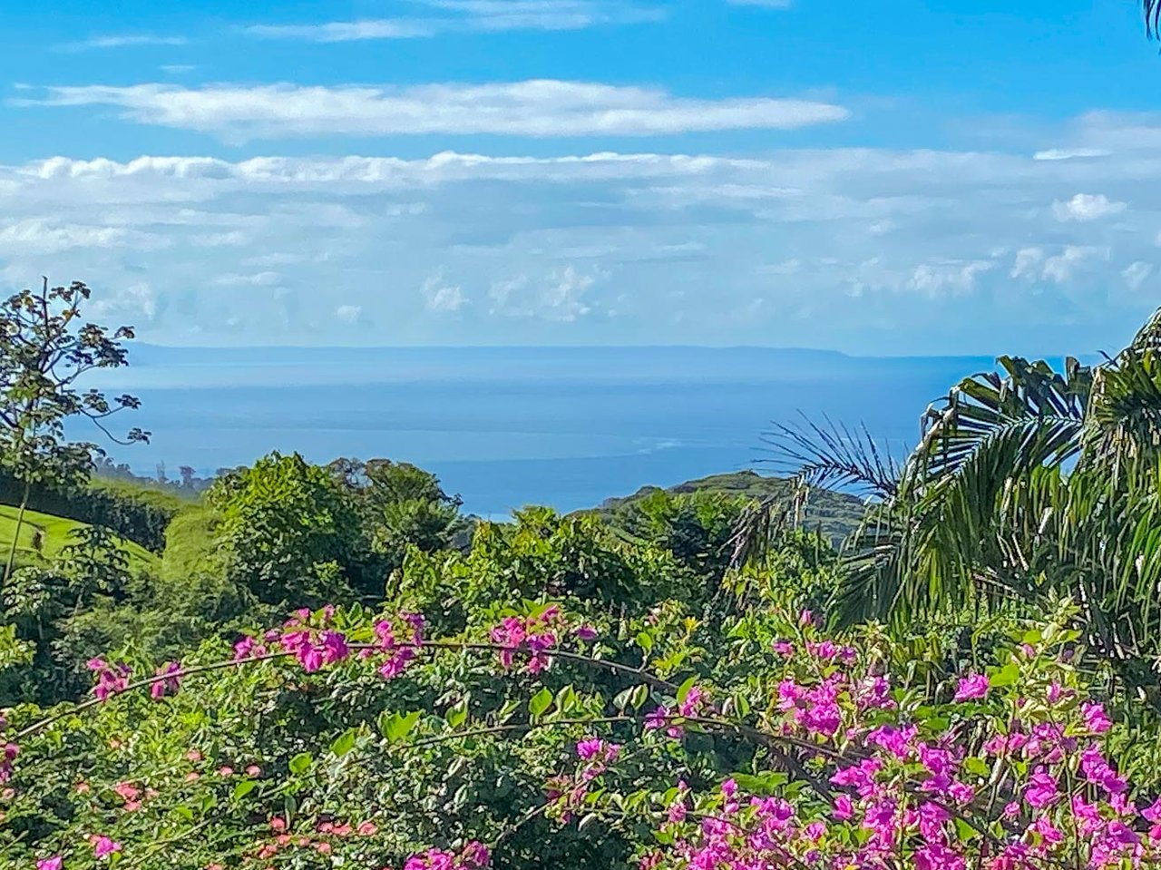 Ocean, Jungle & Mountain View Home in Ojochal | Protected Jungle Setting