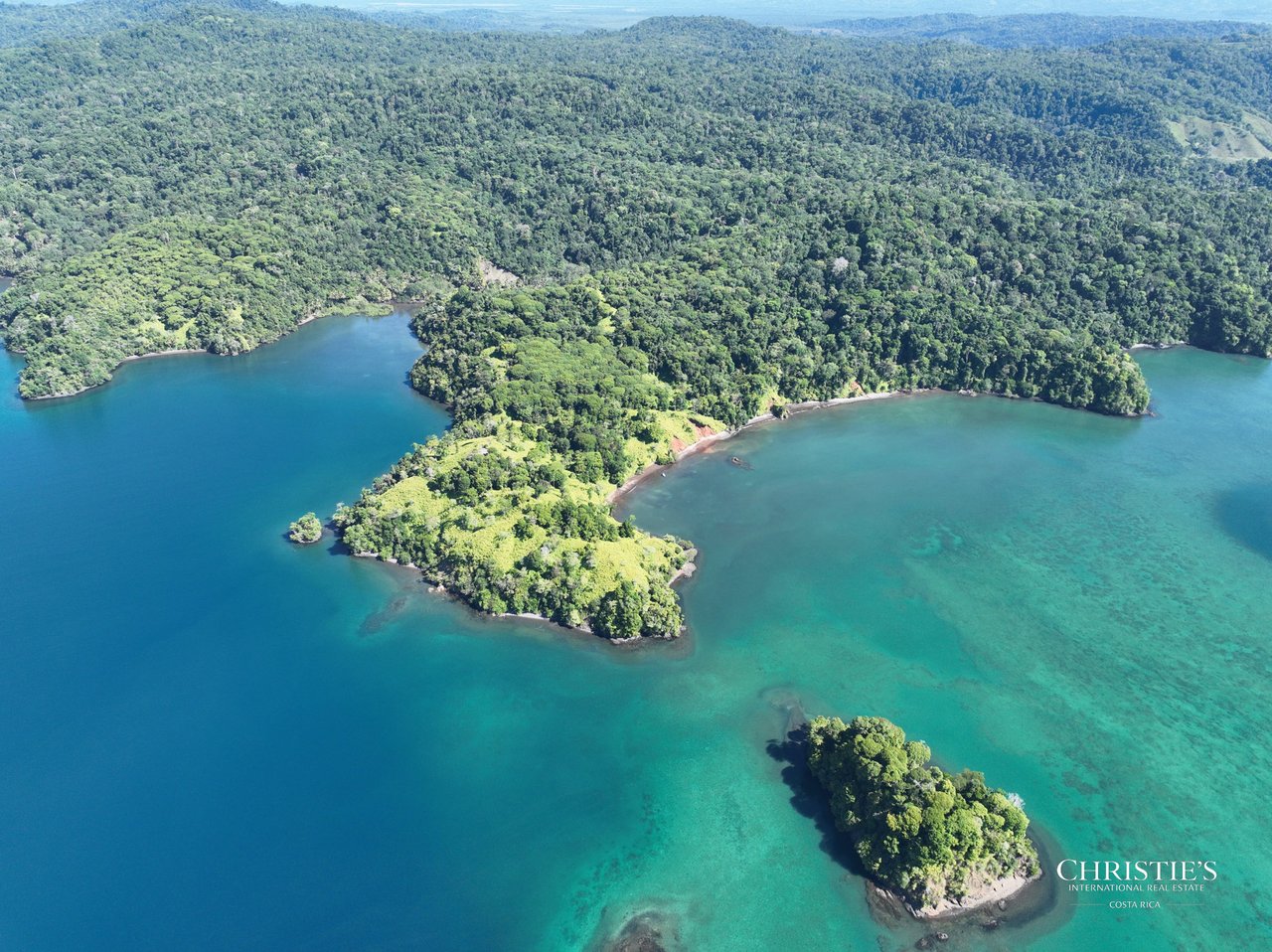 Jungle Islands — Los Mogos