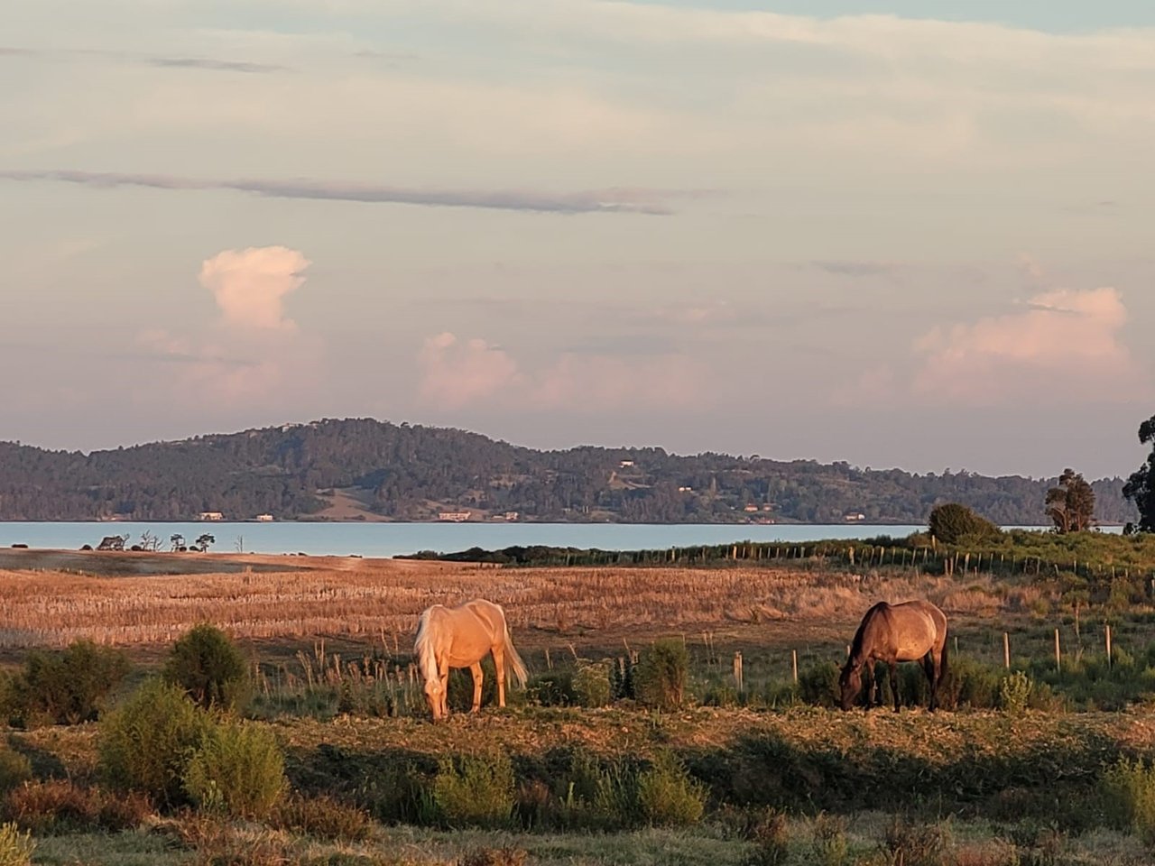 Laguna del Sauce M0005