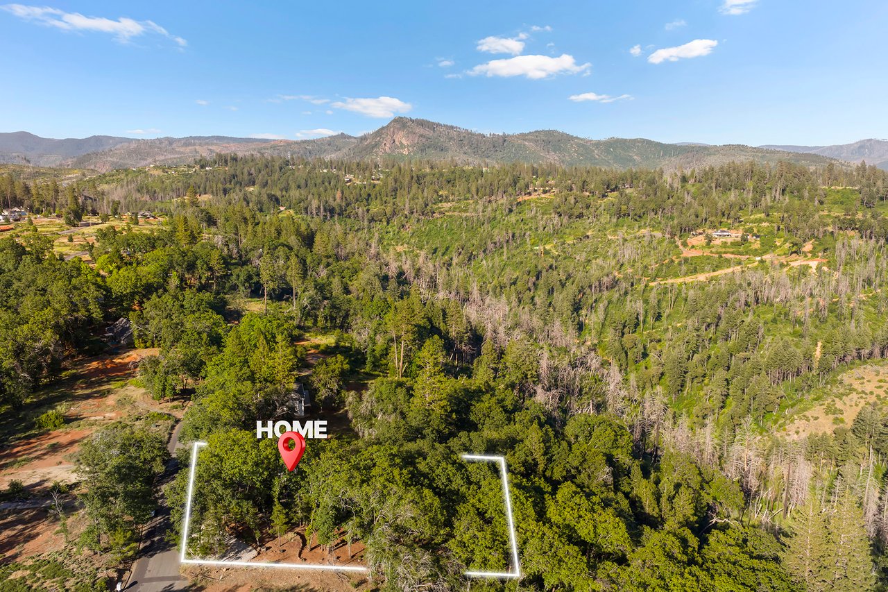 13424 Adrian Drive
