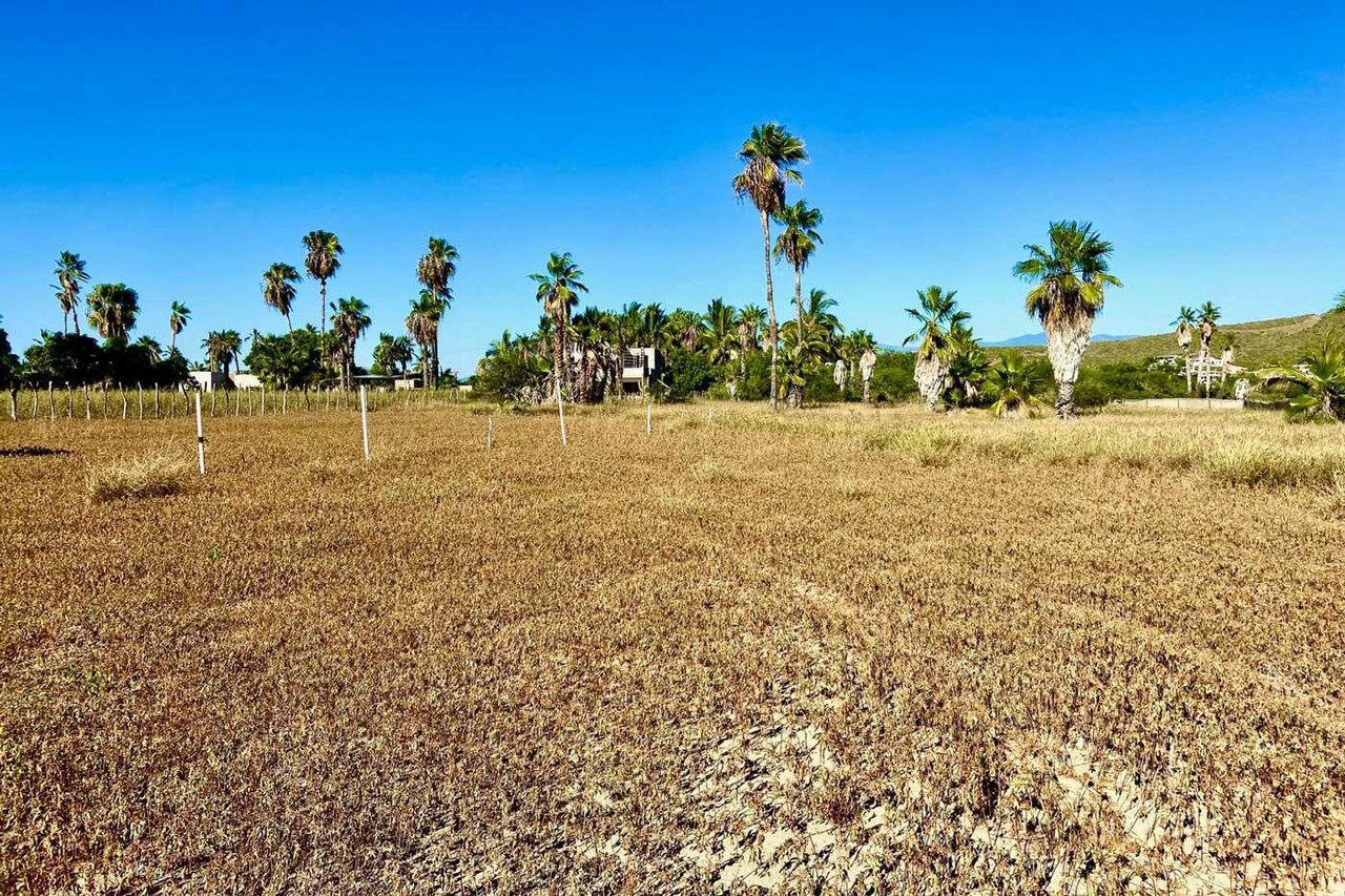 Vista Las Palmas Lot 0949