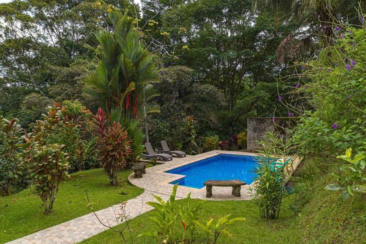 Serene Costa Rican Jungle Retreat with Waterfalls & Wildlife