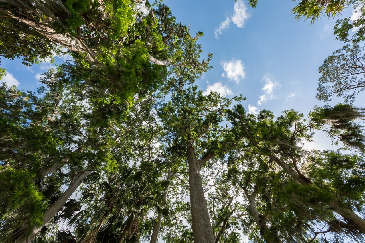 Winter Park