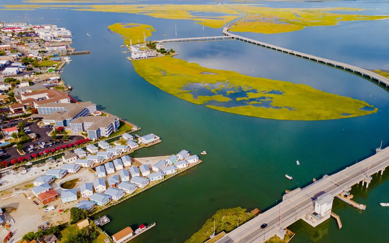 Chincoteague