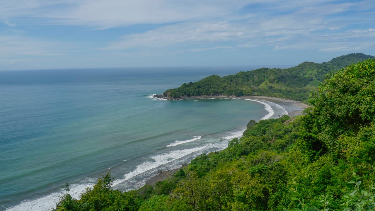 Corozalito Blue Reserve 