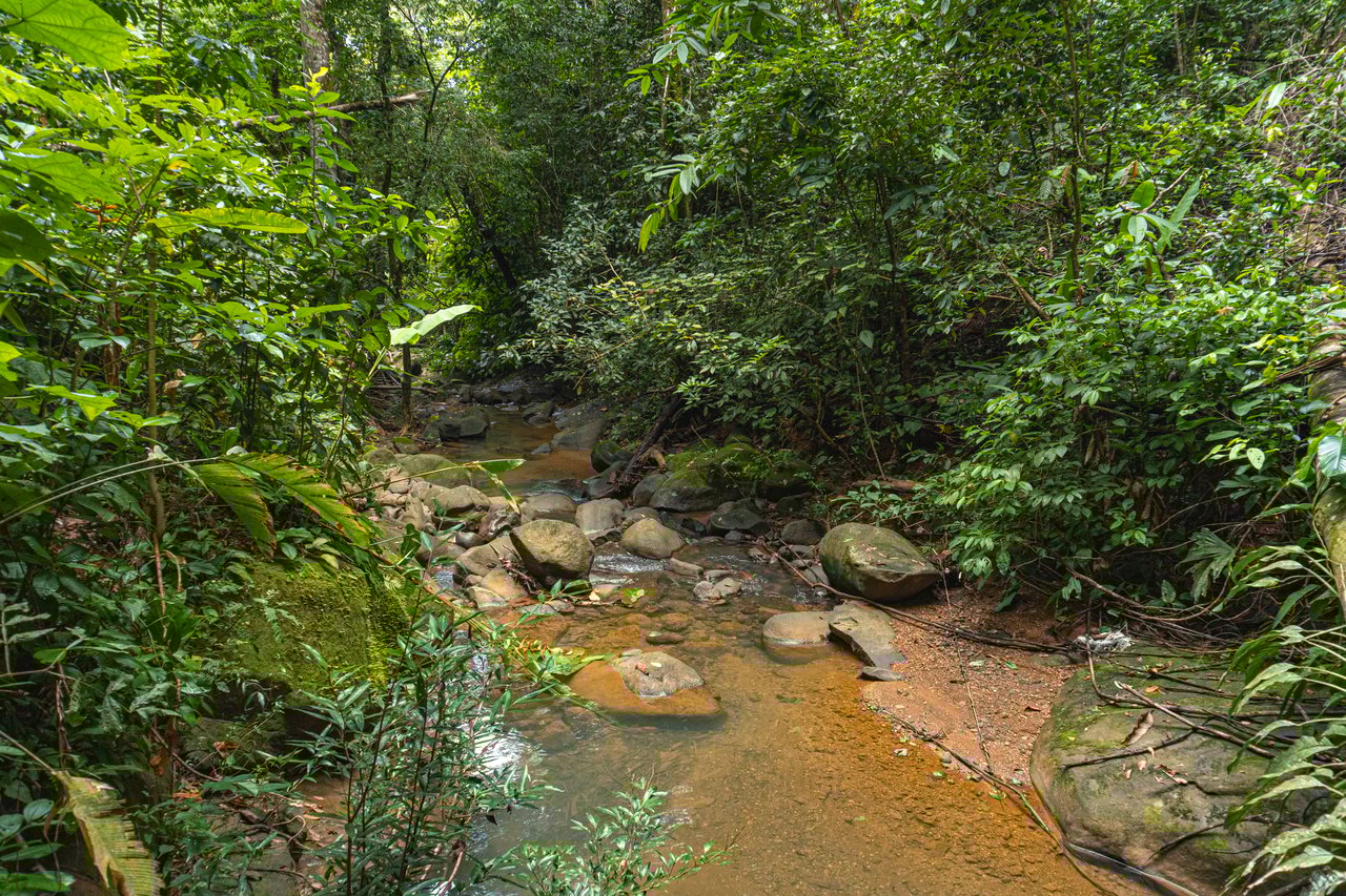Serene Costa Rican Jungle Retreat with Waterfalls & Wildlife