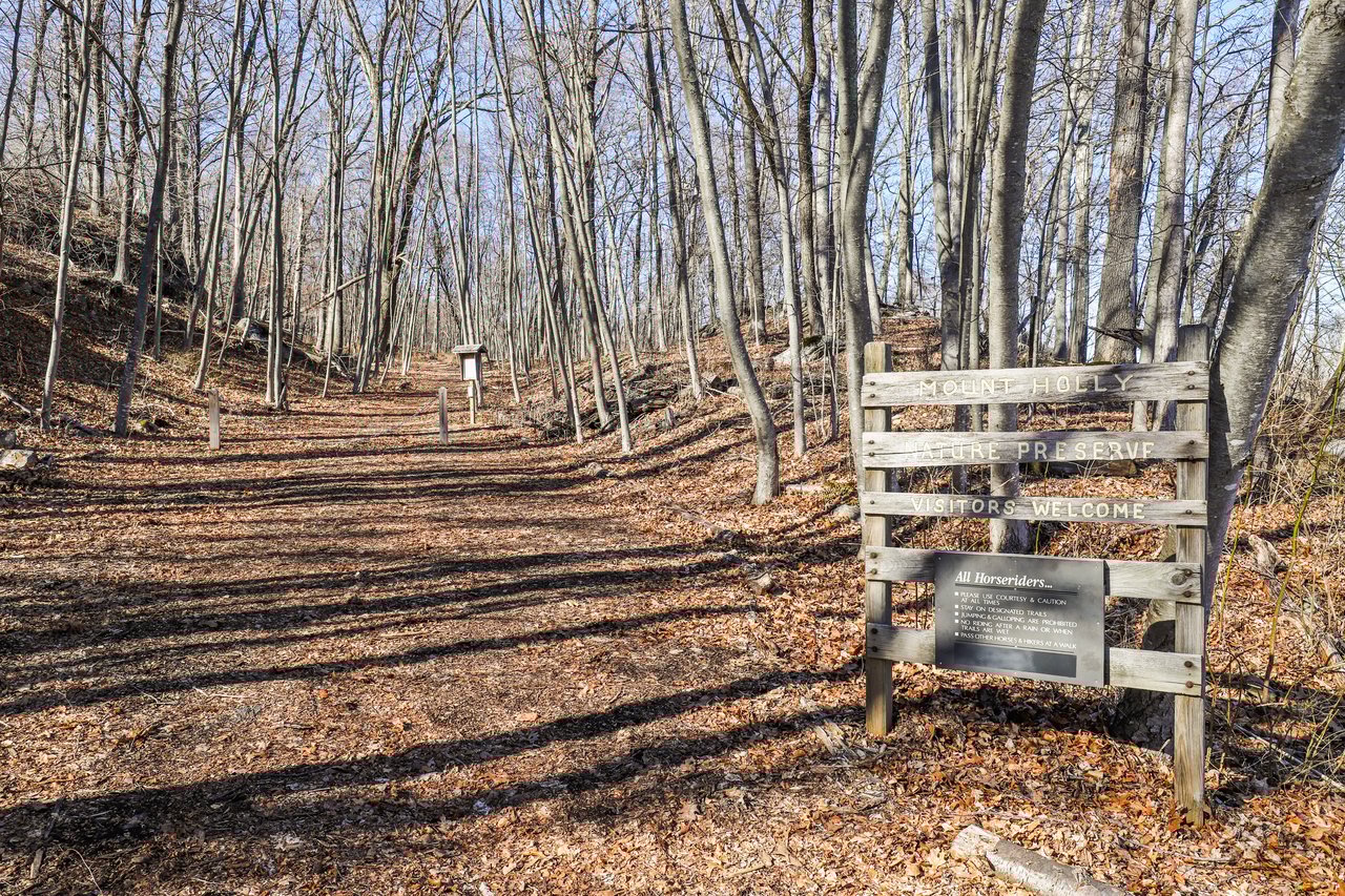 25 Mt Holly Road E