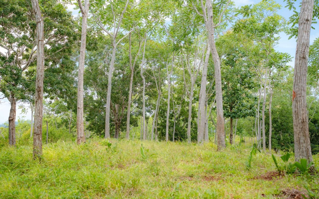 Ocean View Ridge Farm | 135-Acre Estate Near Playa Hermosa, Jacó