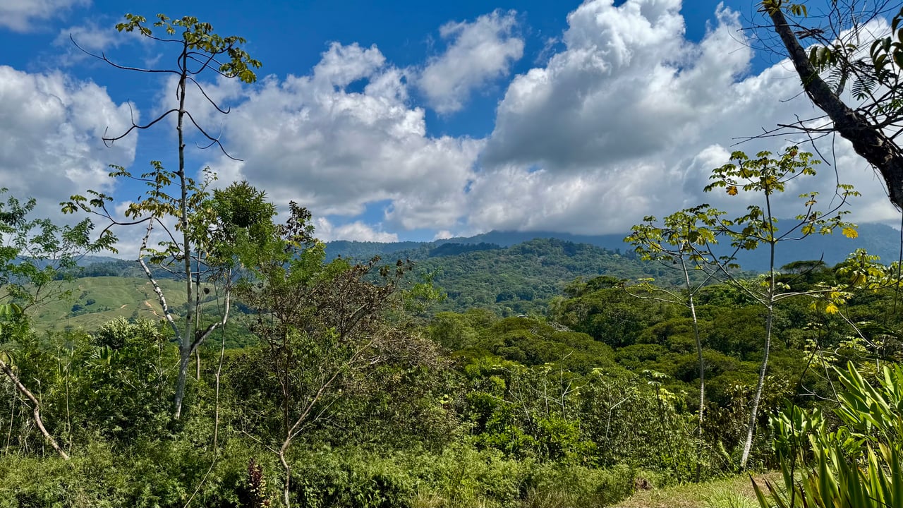 New 1,4 Acre lot in Platanillo – With Legal Water  