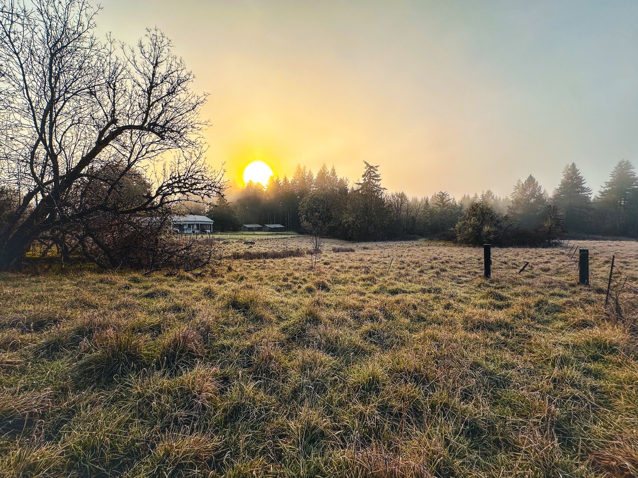 HARRIS FARM & FOREST