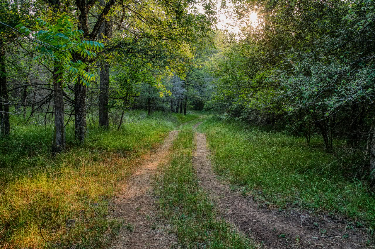 Revival Ranch TX