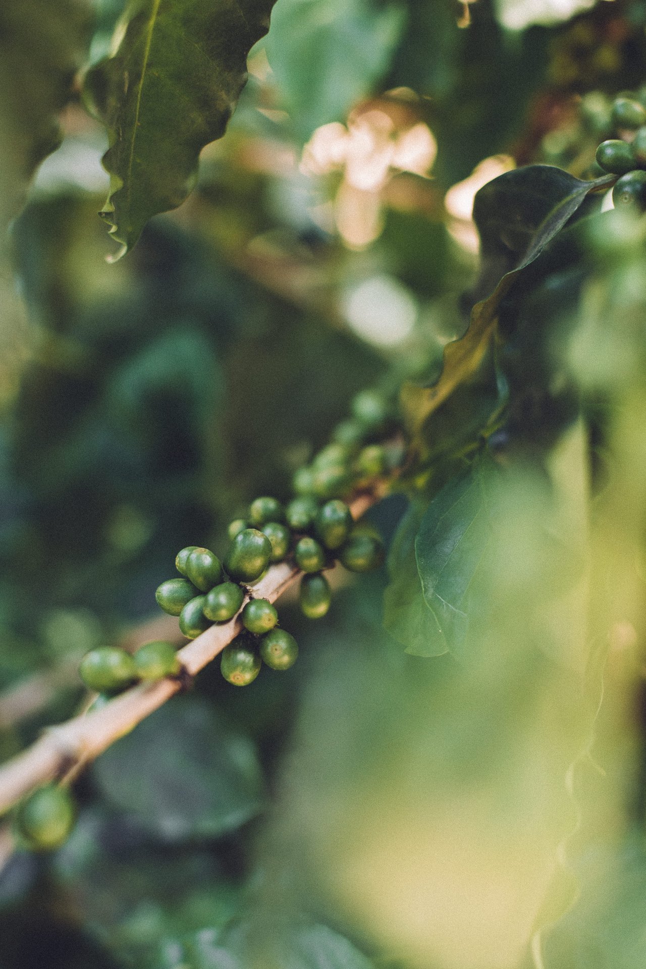  Punta Sabana & Mar Serena