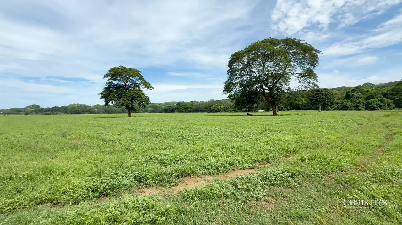 The Gateway to Costa Rica's Central Pacific