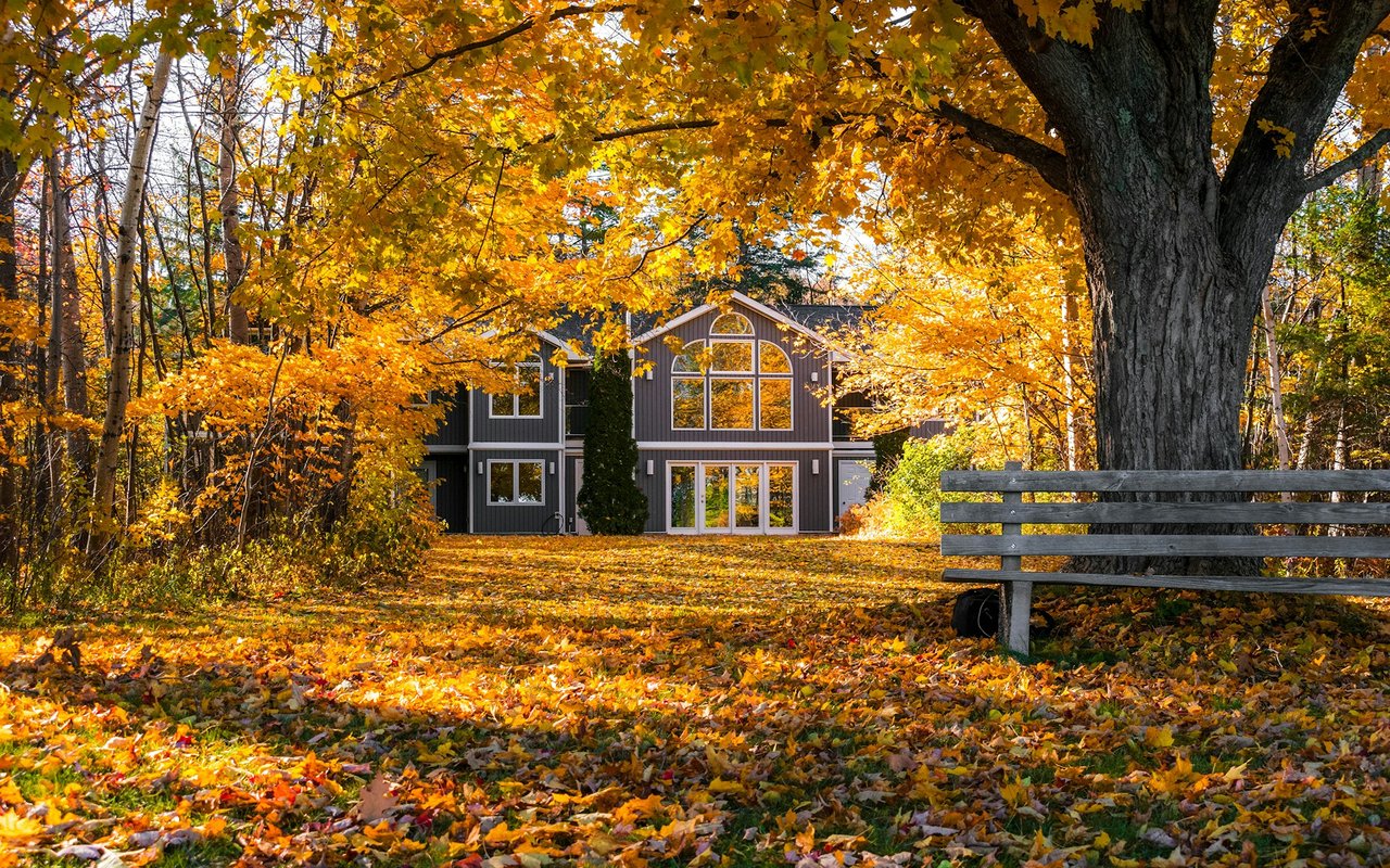 Two-story gray house framed by golden autumn trees, with fallen leaves and a wooden bench in front.