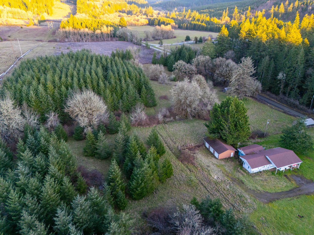 HARRIS FARM & FOREST