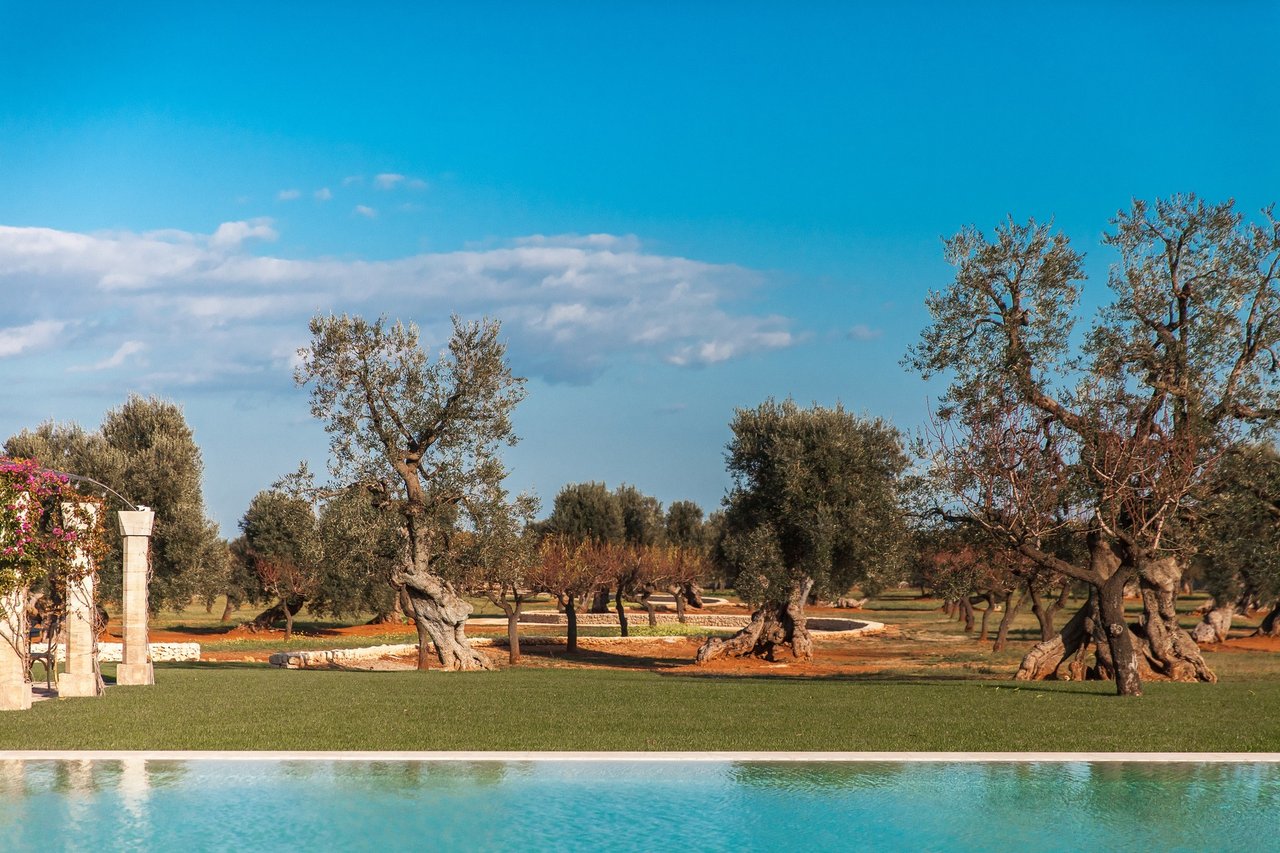 Intimate Villa Surrounded by Olive Trees Near the Town of Fasano