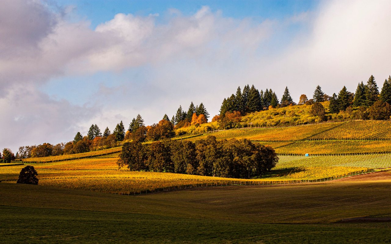 Newberg